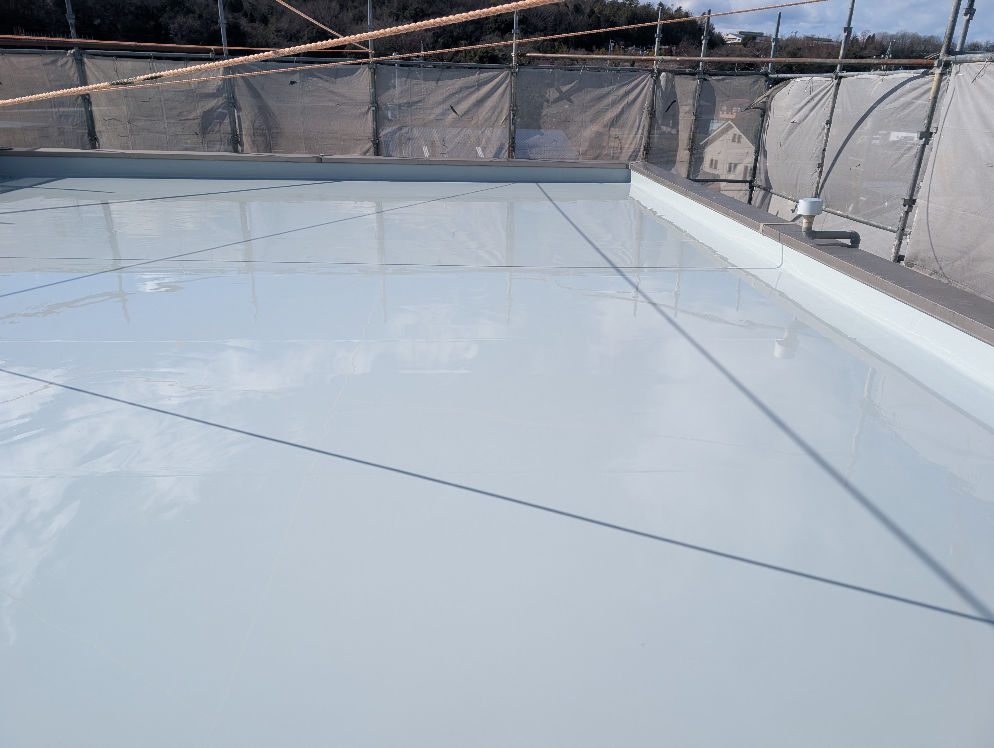 一緒に働く仲間