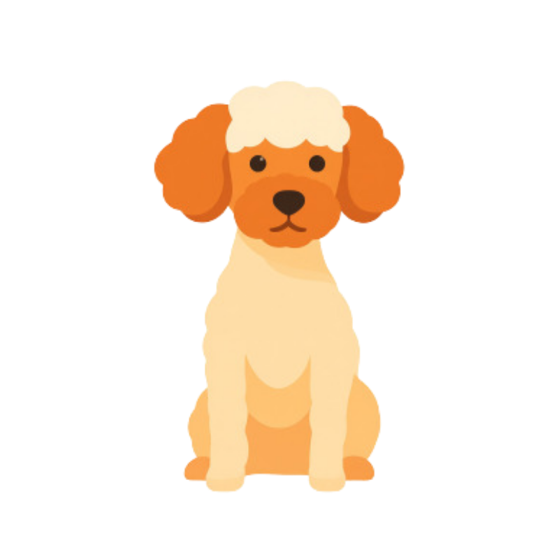 イメージキャラクター